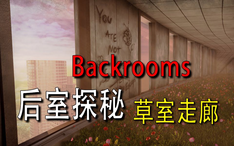 [图]【Backrooms】-后室- 【草室走廊】（加长版！）迷失系列 P4