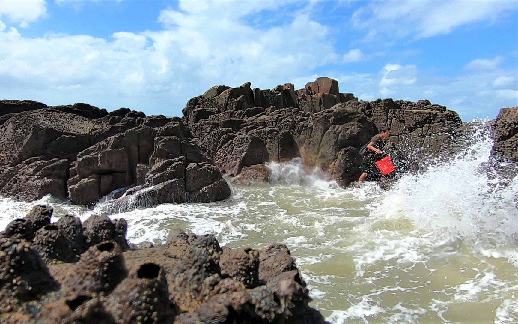 小囿独上孤岛赶海岛内生猛好货真值钱一个大螺就可抵几只青蟹