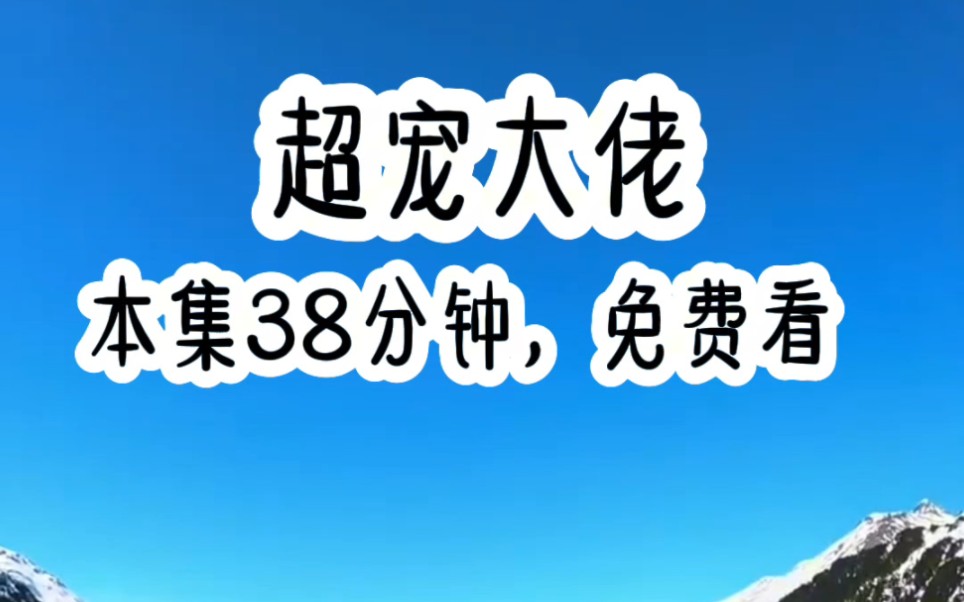 每个月给我五千万零花钱的大佬破产了,离婚前大佬说要给我半数身家,方便我找下一家……哔哩哔哩bilibili