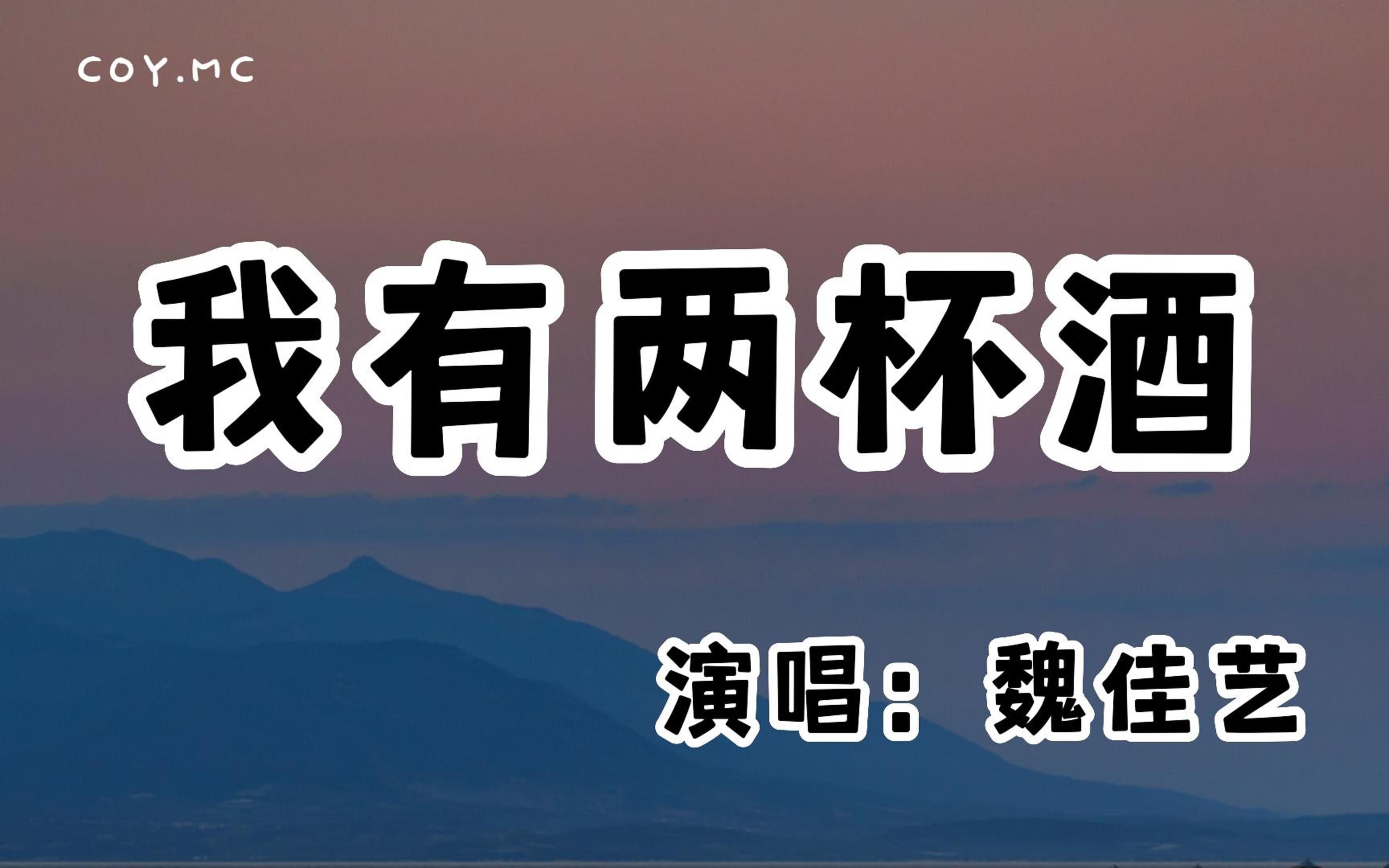 [图]魏佳艺 - 我有两杯酒『一杯敬追求 一杯敬这人间的忧愁』（动态歌词/Lyrics Video/无损音质/4k）