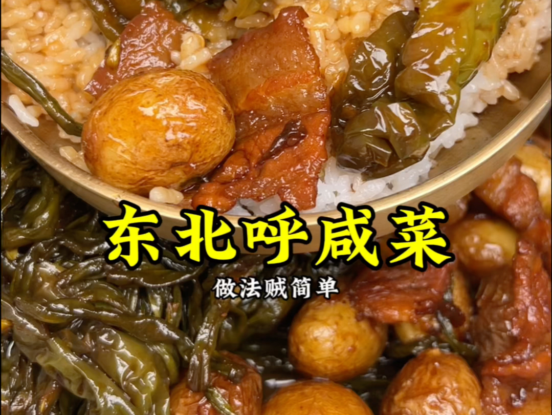 【这哪是咸菜,分明就是下饭菜!】东北呼咸菜精准配比教程,包教包会!哔哩哔哩bilibili