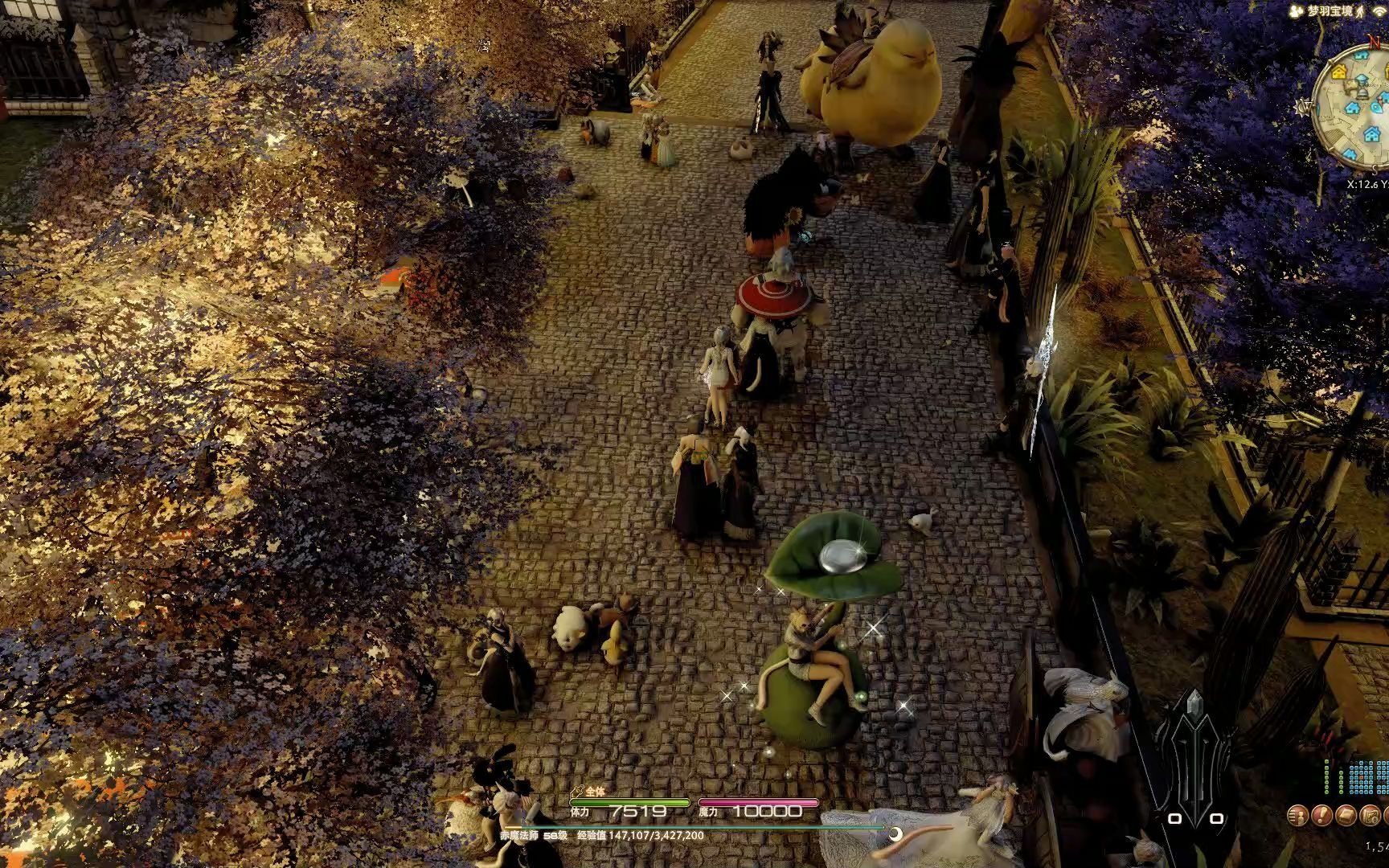 ff14高脚孤丘祭典二区深夜