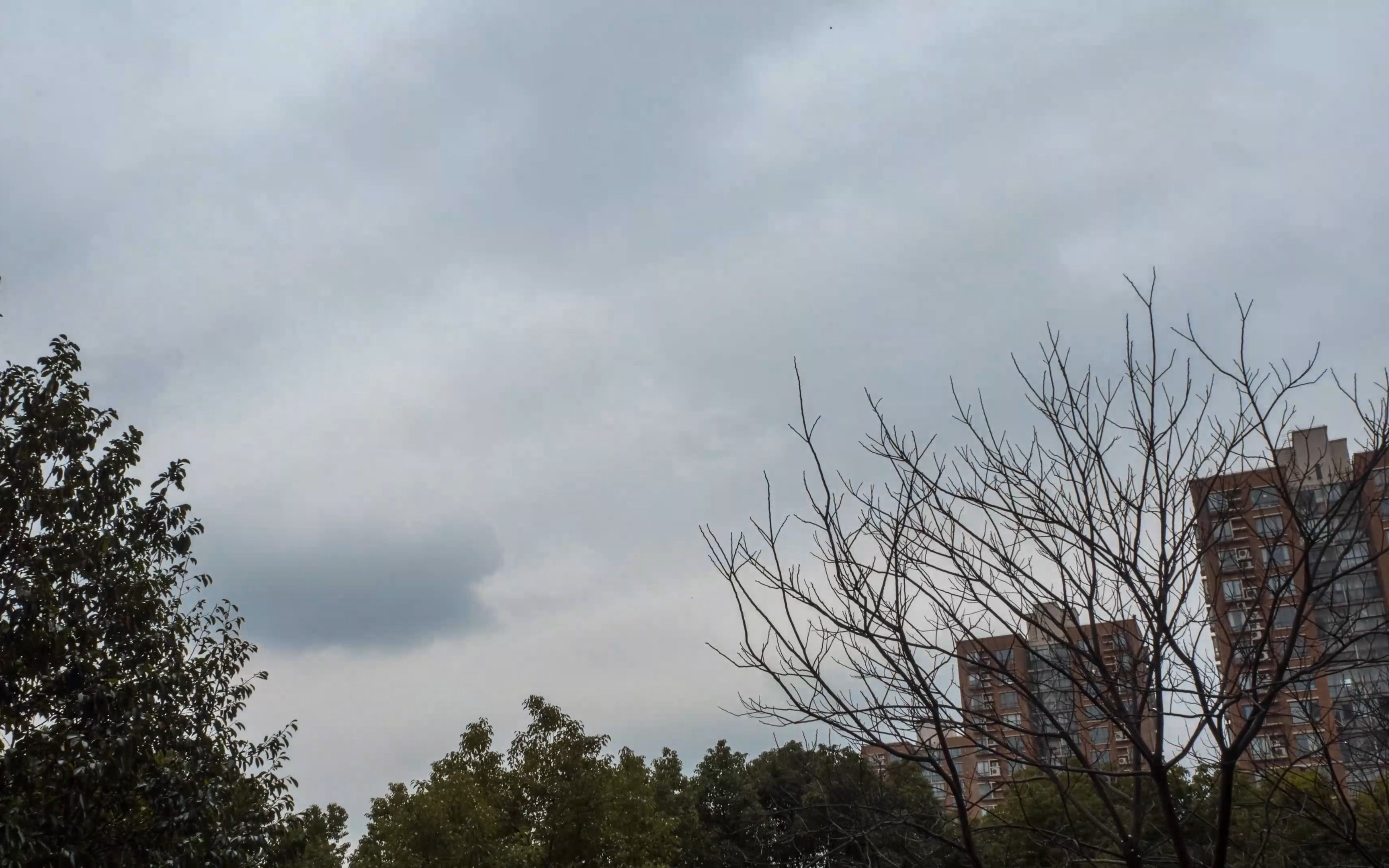 2023年1月16日,阴天在家,记录从白天到黑夜.