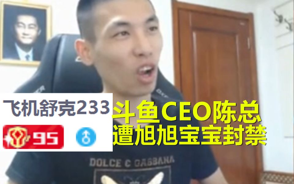 宝哥竟把斗鱼CEO陈总封停永久!你的路走没了!哔哩哔哩bilibili