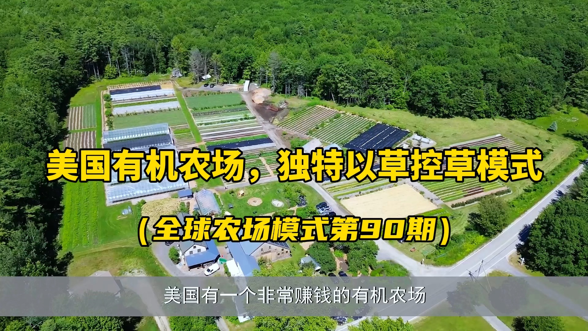 美国一个高收益的有机农场,实现每亩年产值达12万,看看他们是如何运营的?他打造了独特的以草控草种植模式,以及会员模式+产地直供模式...值得学习...