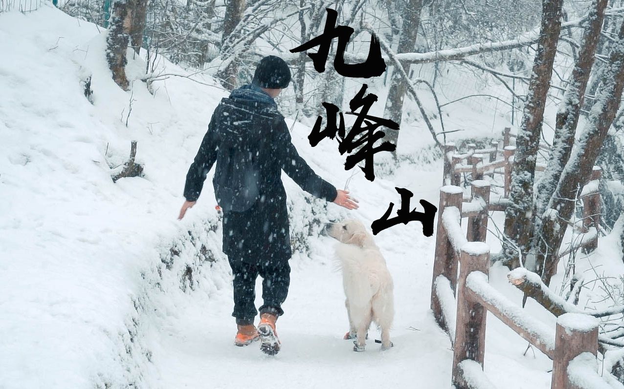 不要门票的成都周边绝美雪山九峰山一日游哔哩哔哩bilibili