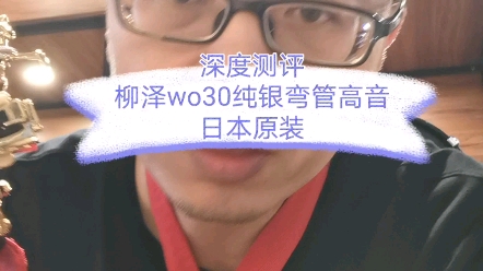 萨克斯深度测评 柳泽WO30纯银弯管高音 日本原装哔哩哔哩bilibili