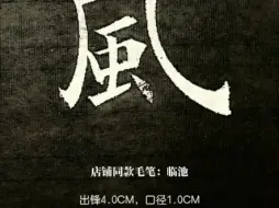 Descargar video: 完名美节，不宜独任，分些与人，可以远害全身；辱行污名，不宜全推，引些归己，可以韬光养德。