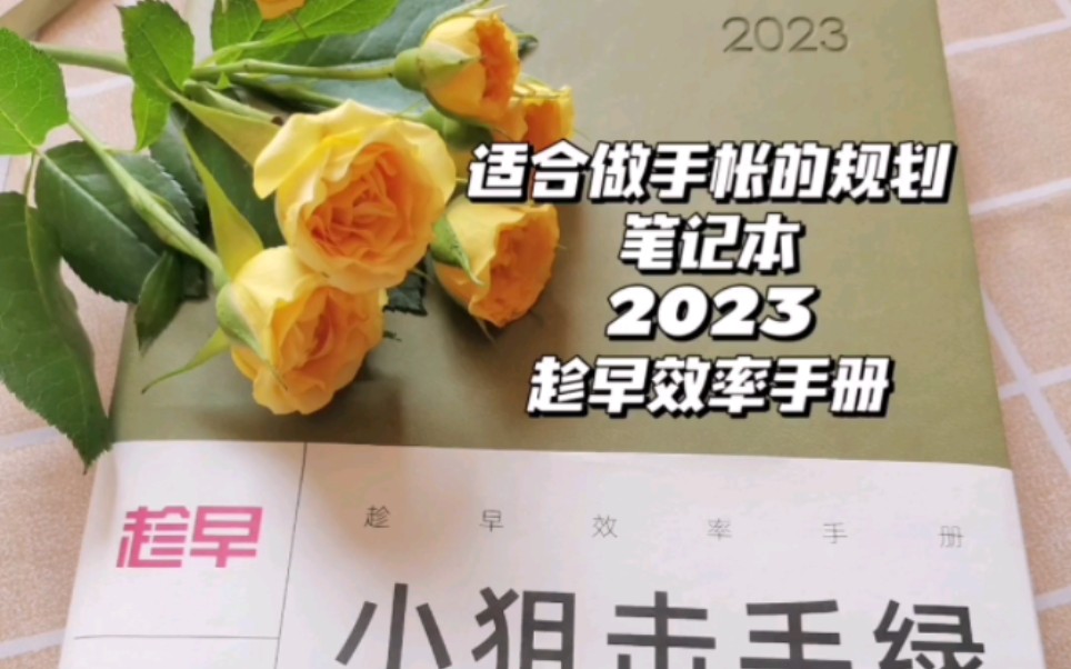 [图]适合做手帐的规划笔记本—2023趁早效率手册