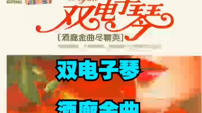 群星《双电子琴酒廊金曲尽精英》2CD