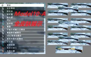 Download Video: 【战地1】Model10-A 特殊/精英/传奇 全皮肤展示