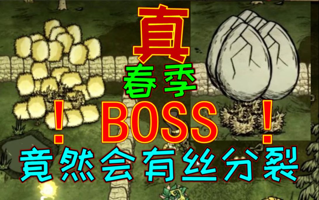 【饥荒bug】小鸭崽竟然能有丝分裂!这才是真正的春季BOSS!哔哩哔哩bilibili