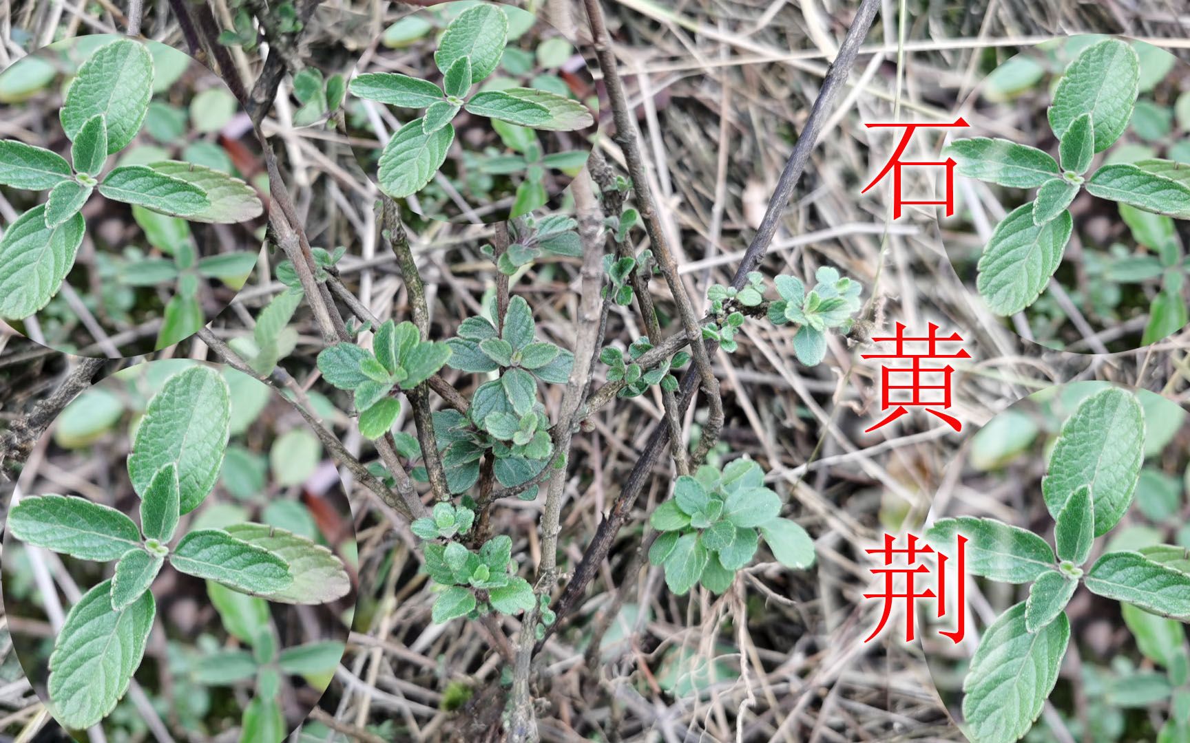 哔哩哔哩_bilibili