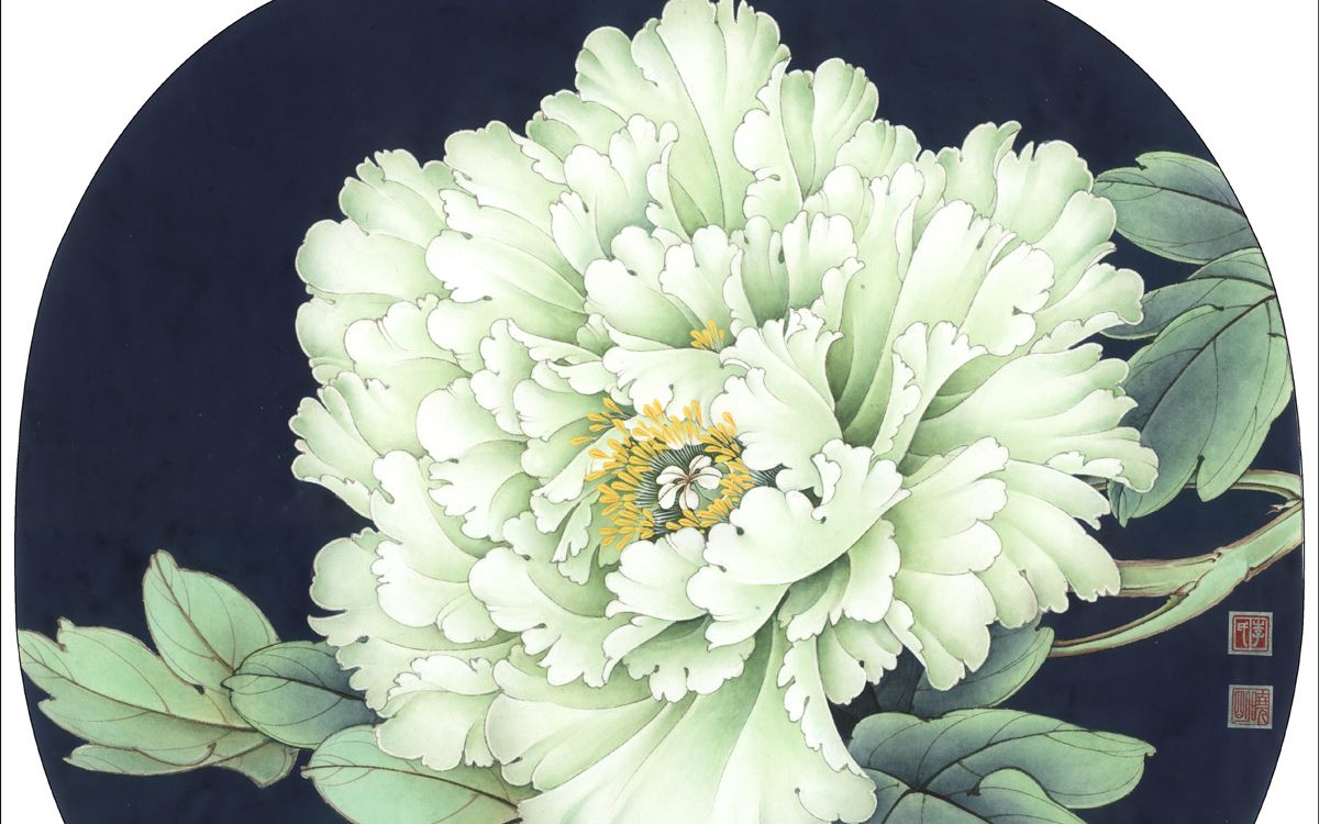 001-工笔牡丹豆绿的过稿及勾线