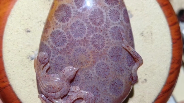 珊瑚玉共赏,薇雨阁珊瑚玉之精品雕刻喜上眉梢