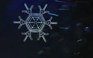 Download Video: 为什么每一片雪花会不一样呢？