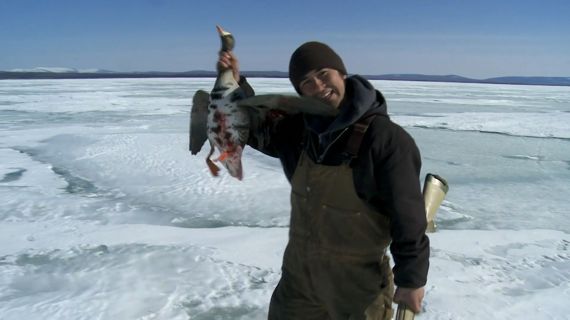 北极圈生活:全村居民进入荒野狩猎大鹅,猎人岸边猎杀黑熊!