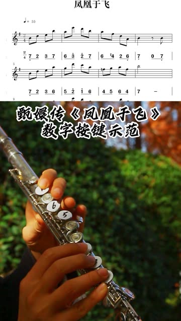凤凰于飞长笛指法教学,一分钟学会