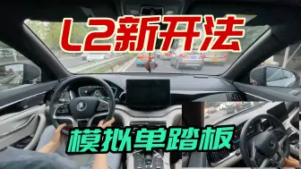 L2辅助驾驶+自主驾驶，不仅安全性更高，还能模拟单踏板