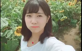 清水ひまわり 搜索结果 哔哩哔哩 Bilibili