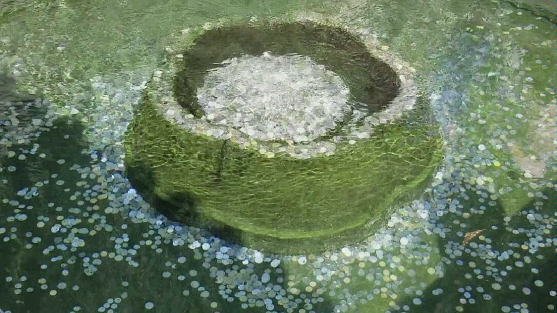 趵突泉里一个忘了叫啥的泉眼