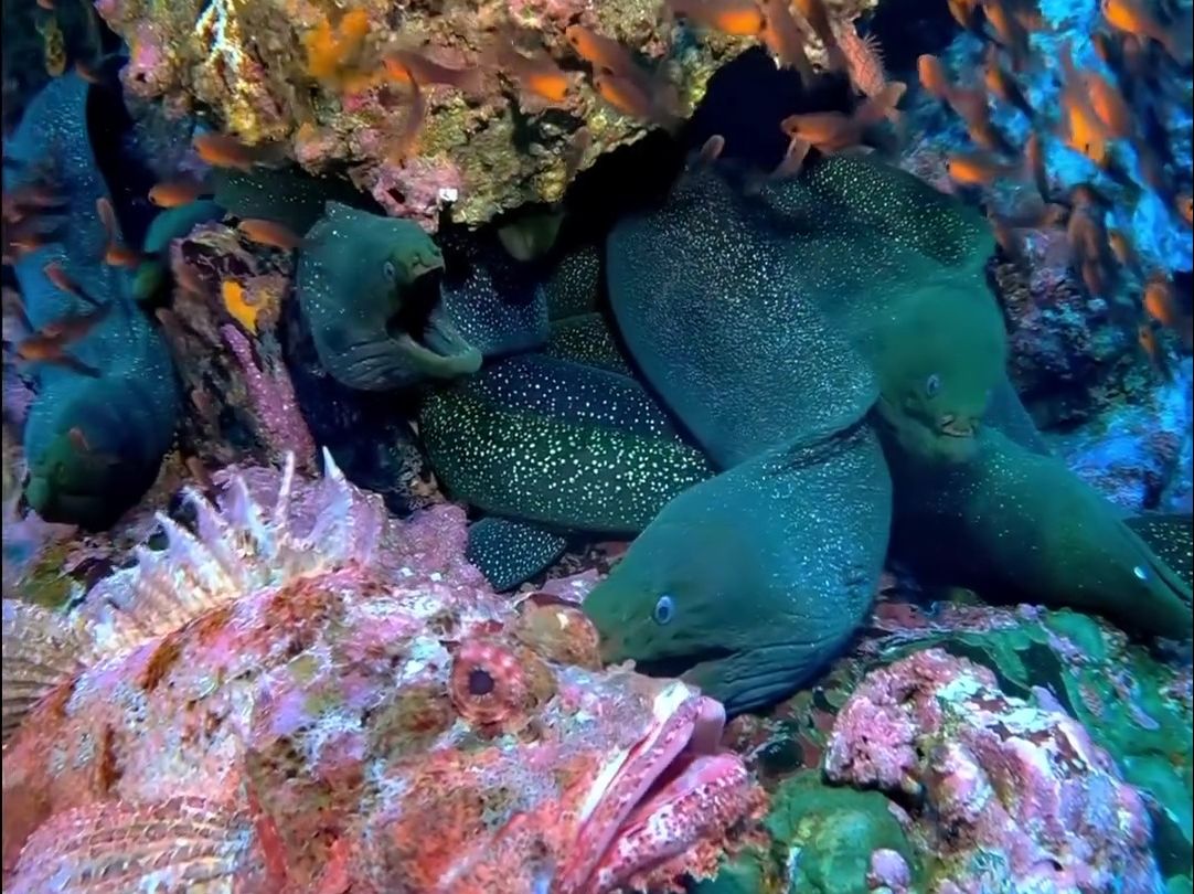 海底龙宫真实图片