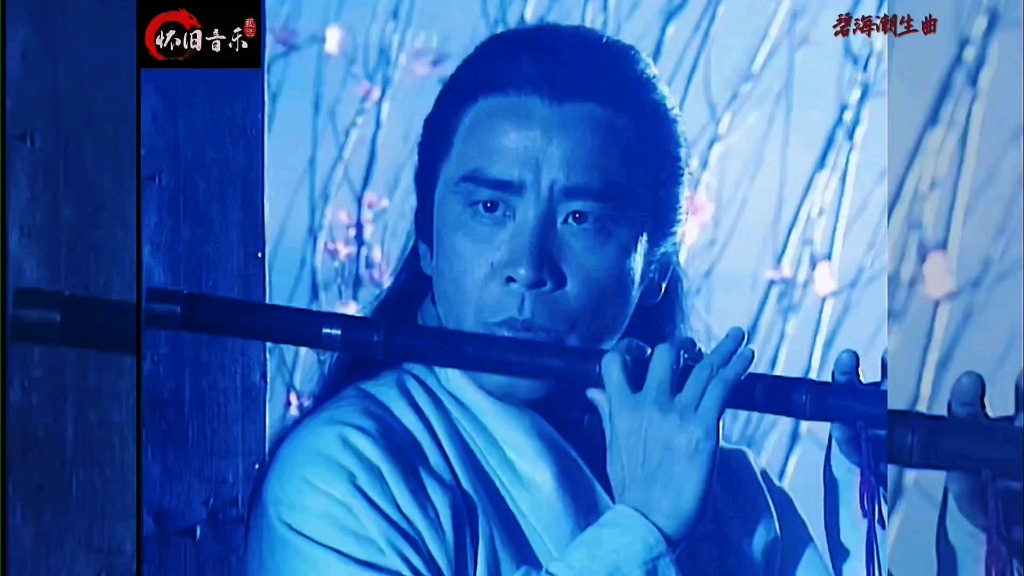 电视剧《九阴真经》黄药师专属bgm《碧海潮生曲》,太好听了