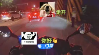 Download Video: 拿证后第一次遇交警、竟然没给机会掏证件