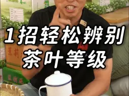 Download Video: 一个视频让你成为 “鉴茶大师”！！