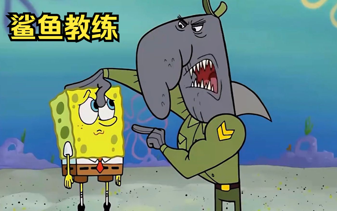 海绵宝宝迟迟拿不到驾照,驾校给他配了一位凶狠的鲨鱼教练