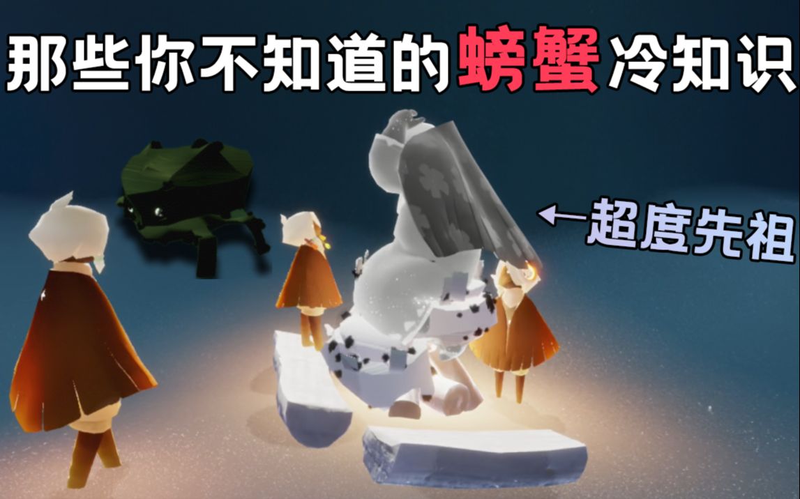 光遇sky好可爱那些你不知道的13个螃蟹冷知识