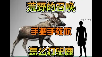 Download Video: 相应大家的要求，直升飞机打猎来了。