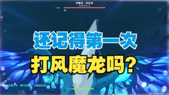 Download Video: 【原神】还记得当年第一次打风魔龙吗？ 追忆:暴风般狂啸之龙 Ⅵ