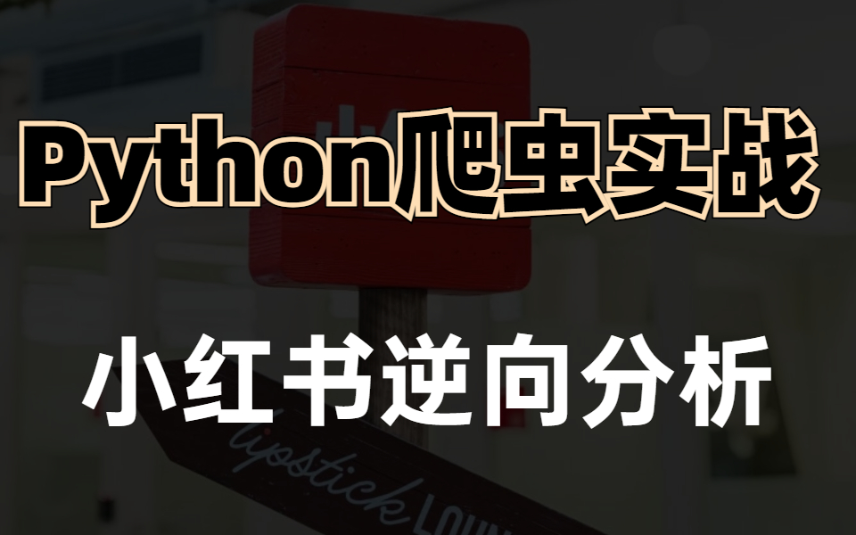 【Python爬虫实战案例】小红书xs逆向分析,采集海量数据!(最新录制)哔哩哔哩bilibili