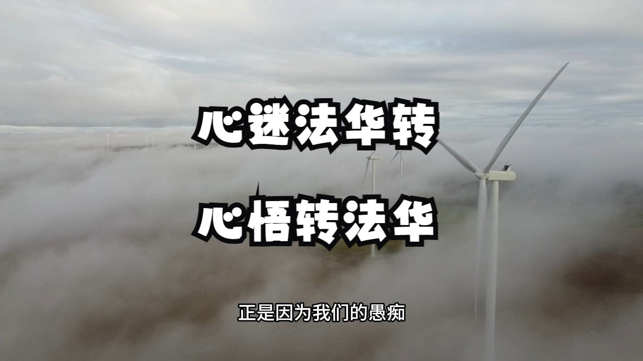 远离颠倒梦想究竟是什么意思?看懂了这句话你就离明心见性不远了!哔哩哔哩bilibili