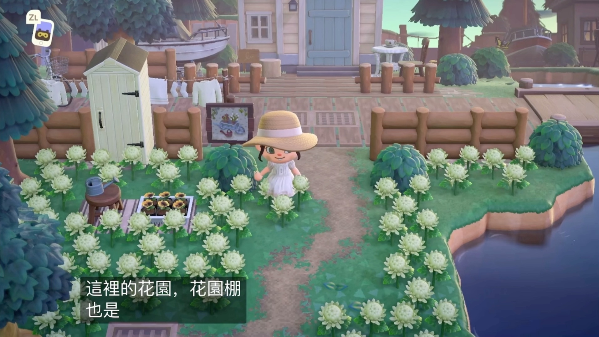 【动森】新视野岛之旅：柔软舒适的初夏清晨岛_哔哩哔哩bilibili_动物森友会_游戏实况