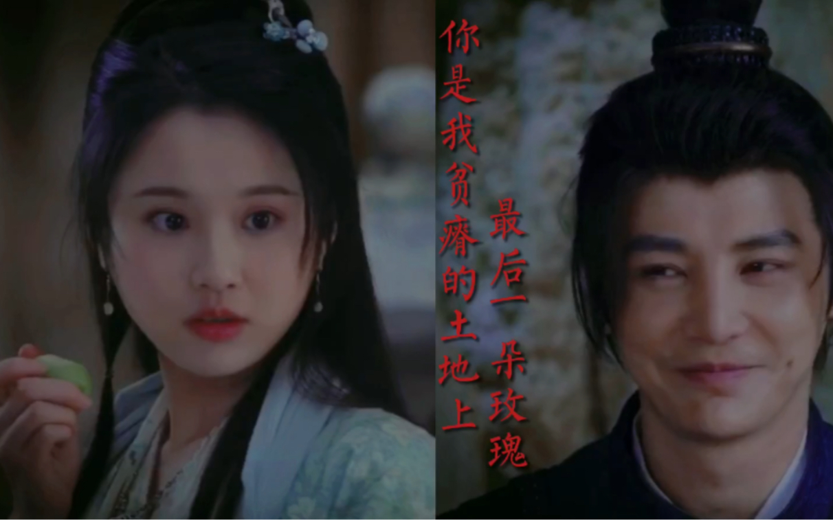 你是我贫瘠土地上最后一朵玫瑰殷沛x楚楚