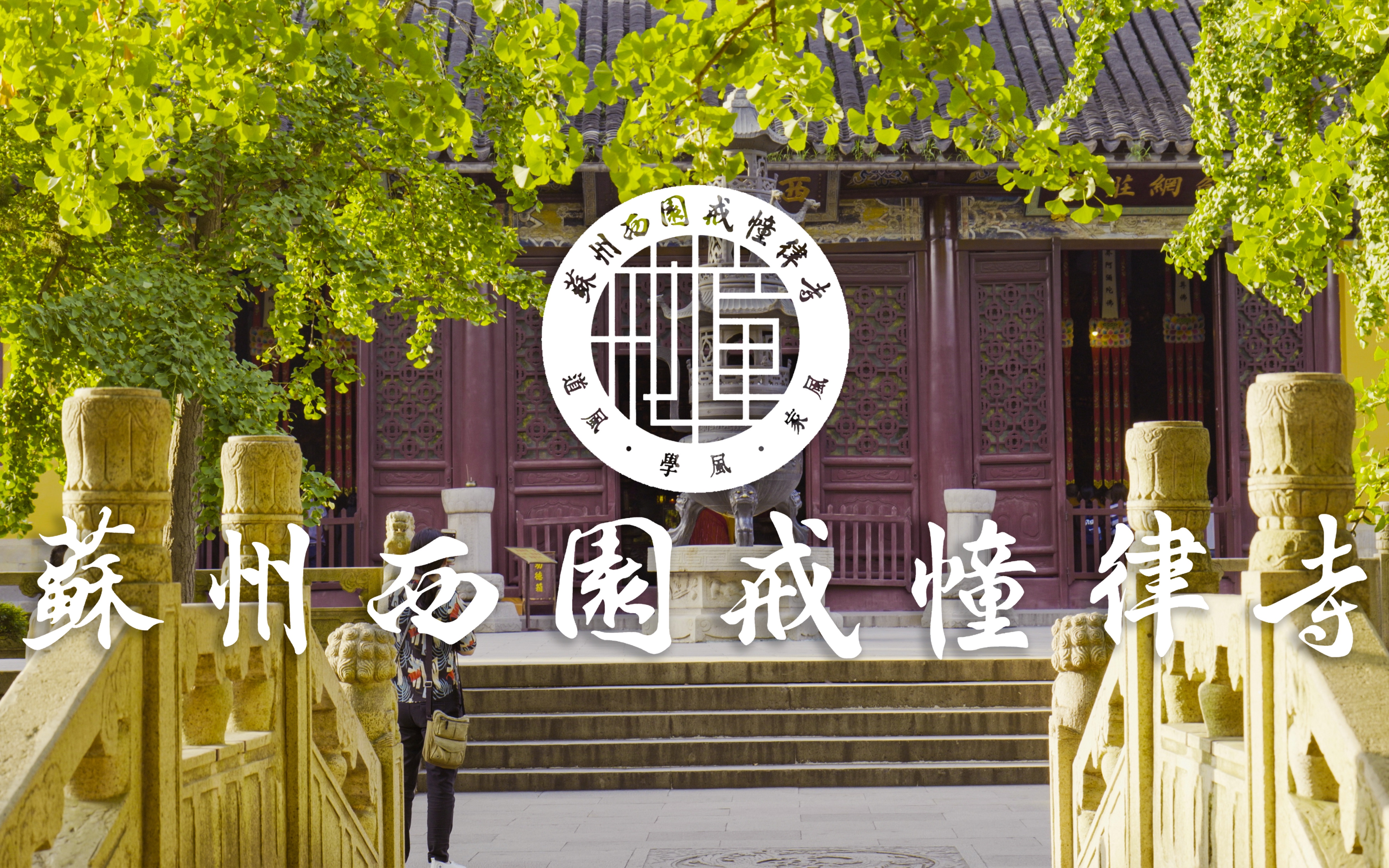 [图]苏州最佳旅行打卡点-西园寺 苏州最美园林寺院 实拍记录 东靠留园 西邻寒山寺 北倚虎丘 南临阊门运河 主动退出5A景区 西园戒幢律寺 千年古刹 寺庙 寺院 撸猫