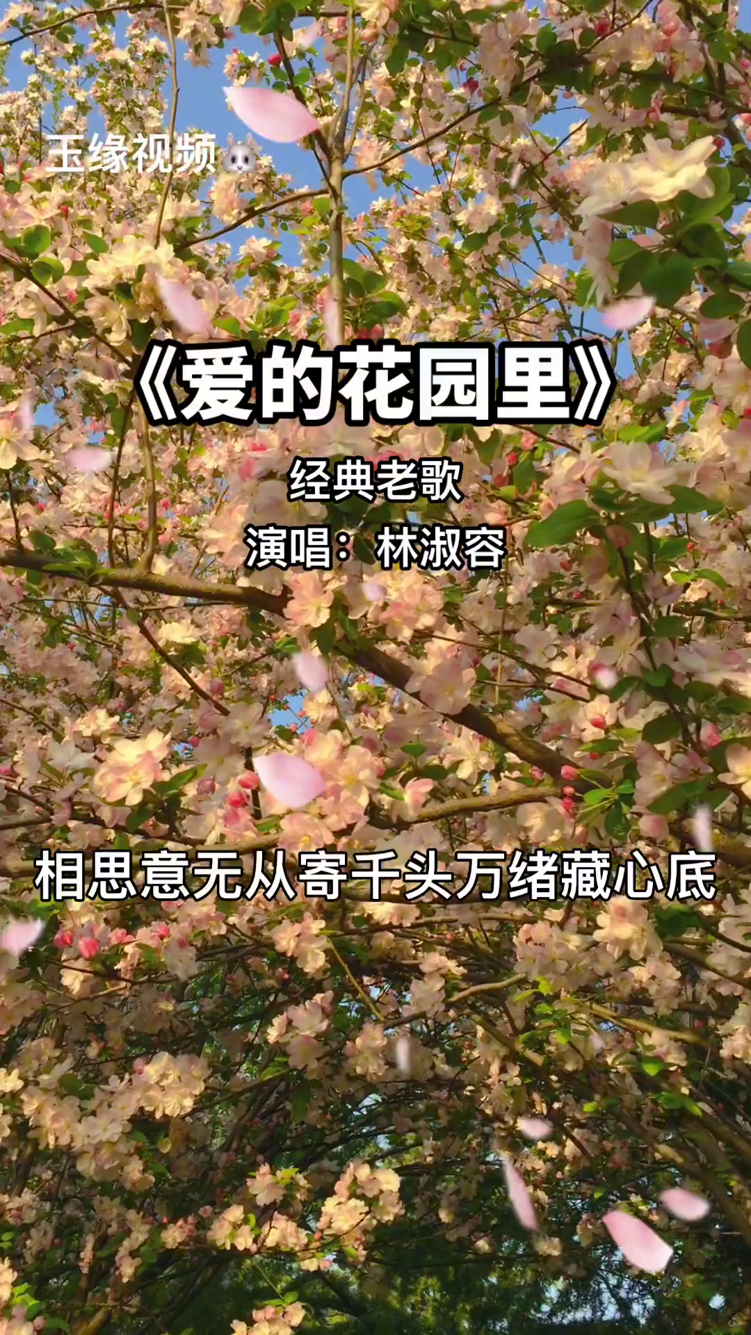 歌曲爱的花园里简谱图片