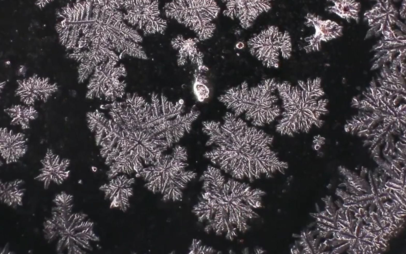 把眼泪放在显微镜下放大2000倍看是怎样的?没想到竟然这么美!