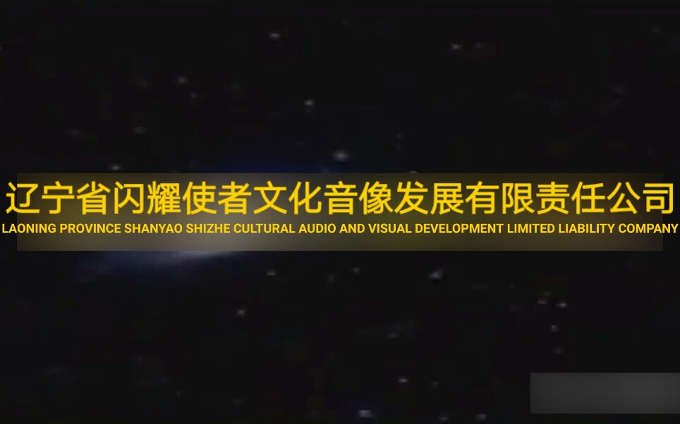 [架空音像] 辽宁省闪耀使者文化音像发展有限责任公司 (辽宁北方影音/辽宁北方音像) 历年片头合集哔哩哔哩bilibili