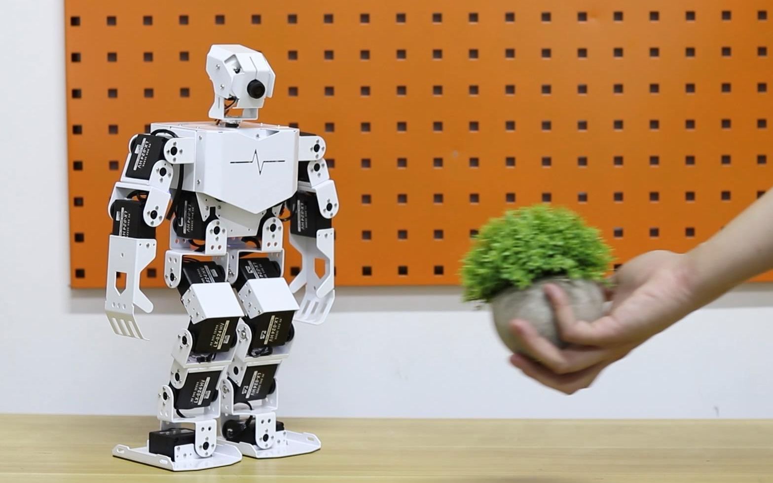 开源树莓派视觉人形机器人tonypi能颜色追踪自主踢木块一机搞定ai视觉