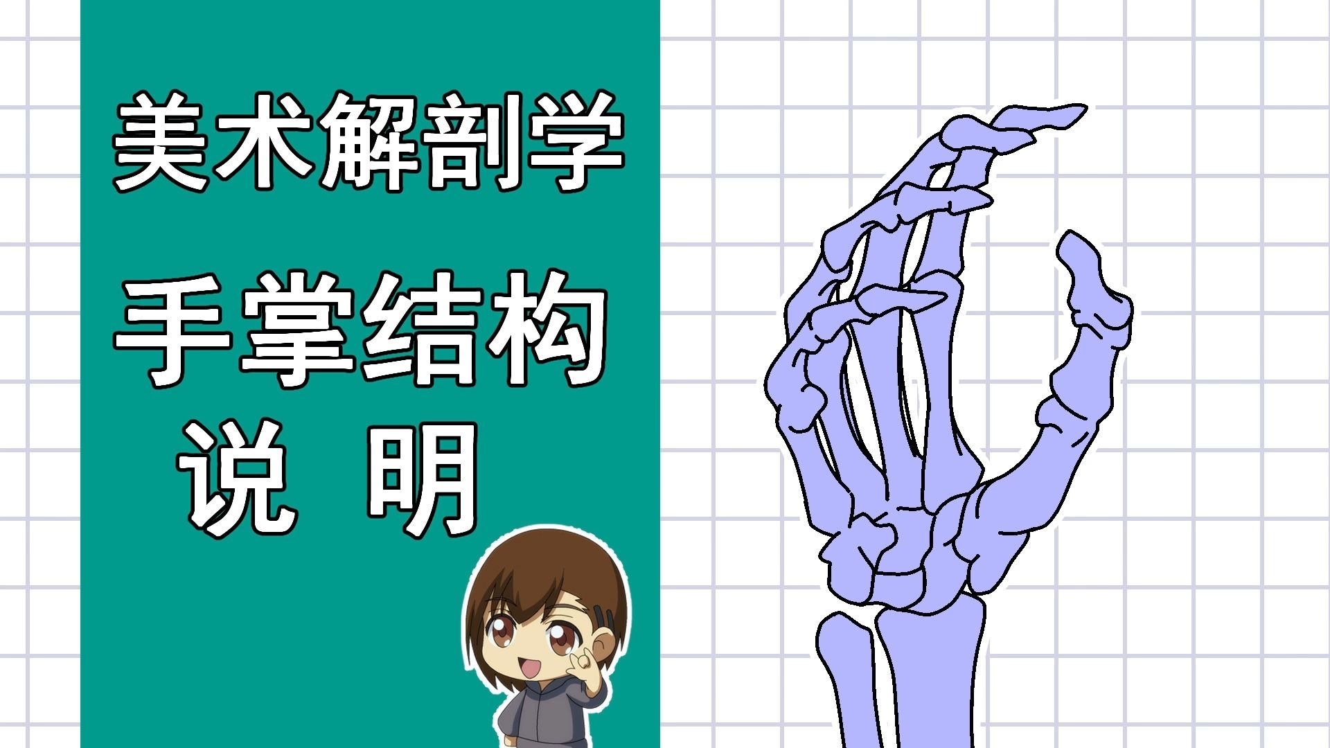 美术解剖学-72-手掌结构说明