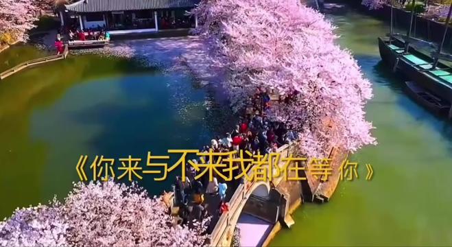 [图]🌼《你来与不来我都在等你》🌼  是由著名词作家绿柳作词，著名的曲作家白狐的曲作者李旭辉作曲，肖锦美原唱的一首歌曲。茫茫人海中有多少的人值得等待，有多少的爱可