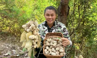 下载视频: 今天去山里摘了很多野生的猕猴桃