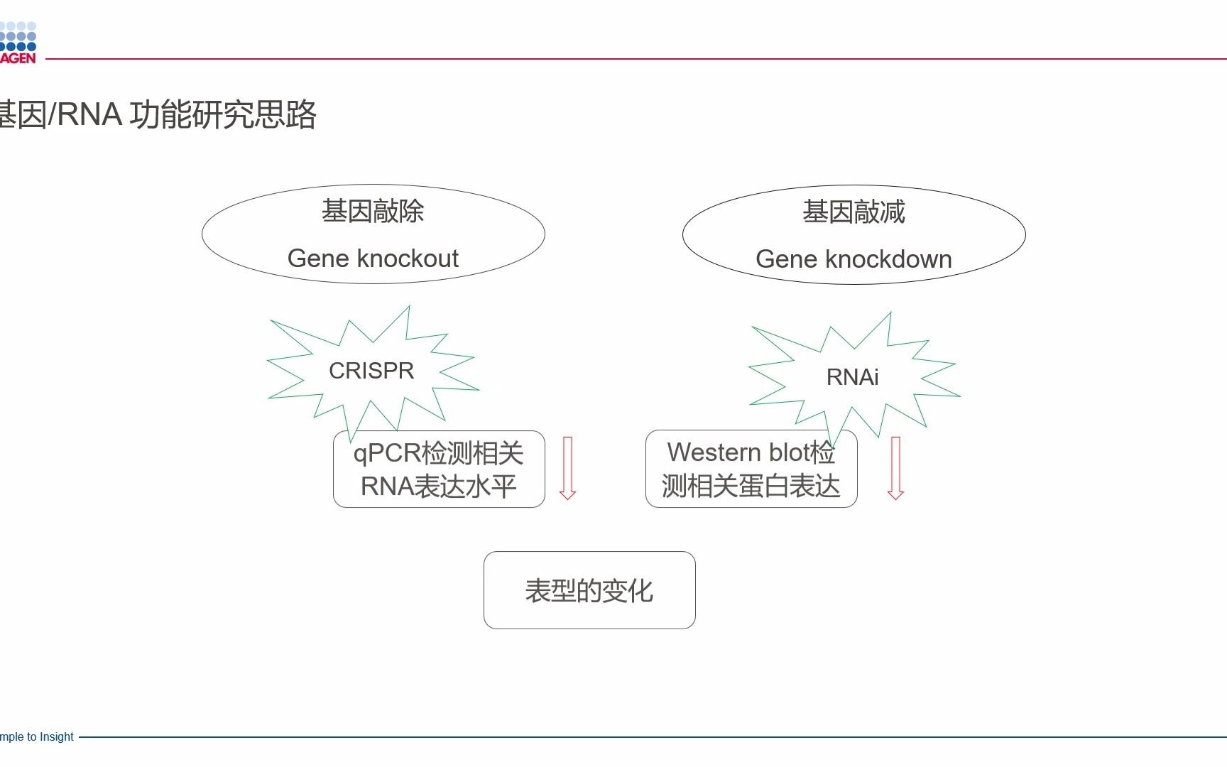 基因沉默技术大比拼,CRISPR vs RNAi (GapmeR)哔哩哔哩bilibili