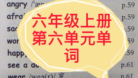 小学英语六年级上册第六单元单词 哔哩哔哩 つロ干杯 Bilibili