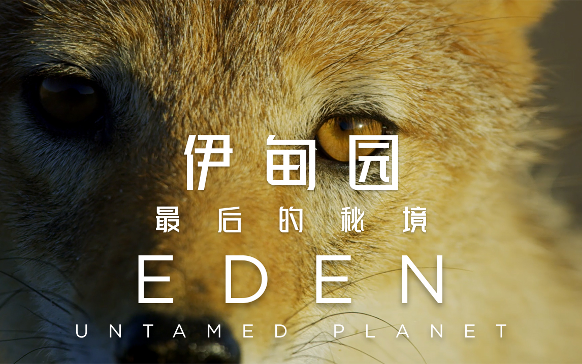 【伊甸园:最后的秘境】预告1:高能踩点!走进人类最后的"伊甸园"