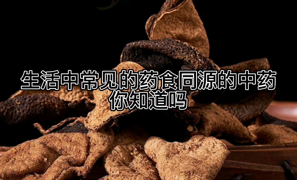 药食同源的中草药哔哩哔哩bilibili