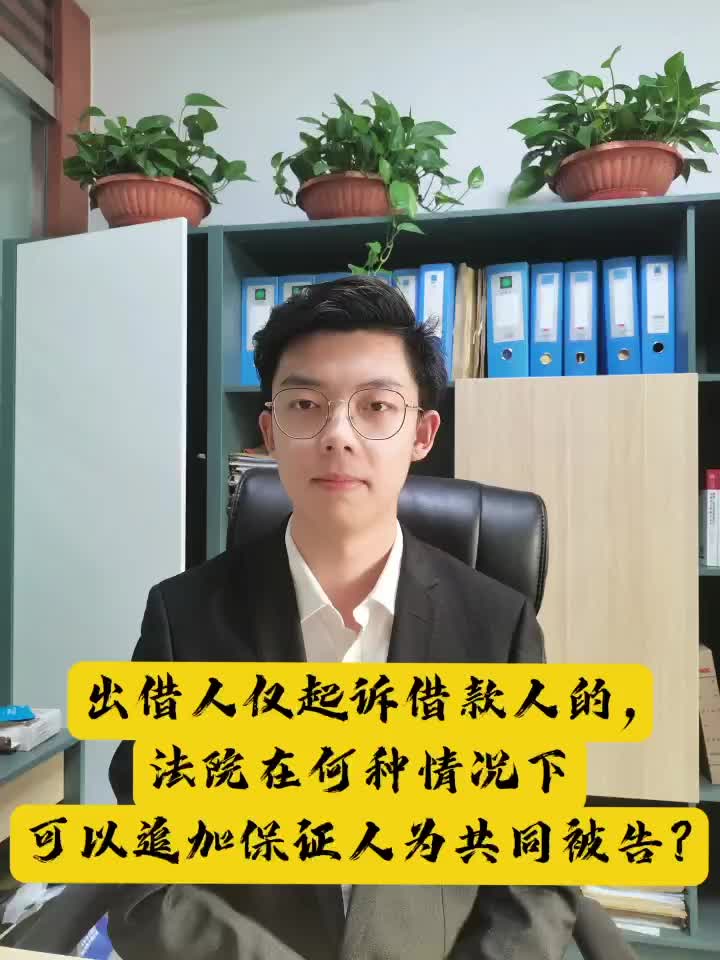 出借人仅起诉借款人,法院在何种情况下可追加保证人为共同被告?哔哩哔哩bilibili